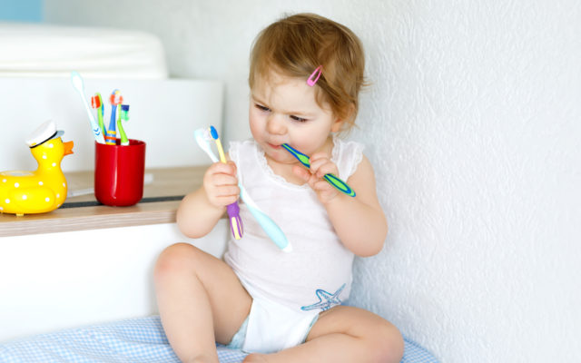 Little baby girl holding toothbrush and brushing first teeth. Toddler learning to clean milk tooth.