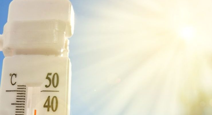 Thermometer in sunshine