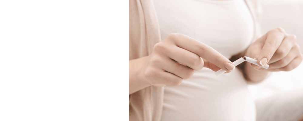 Pregnant woman breaking a cigarette in half