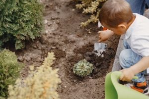 Picture of a Toddler digging with spade